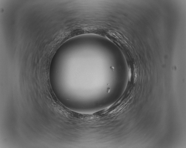 X0000063521345200601201423