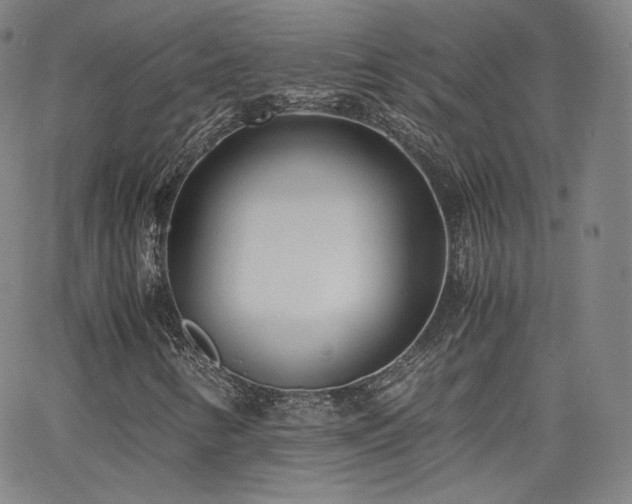 X0000063521346200601201422