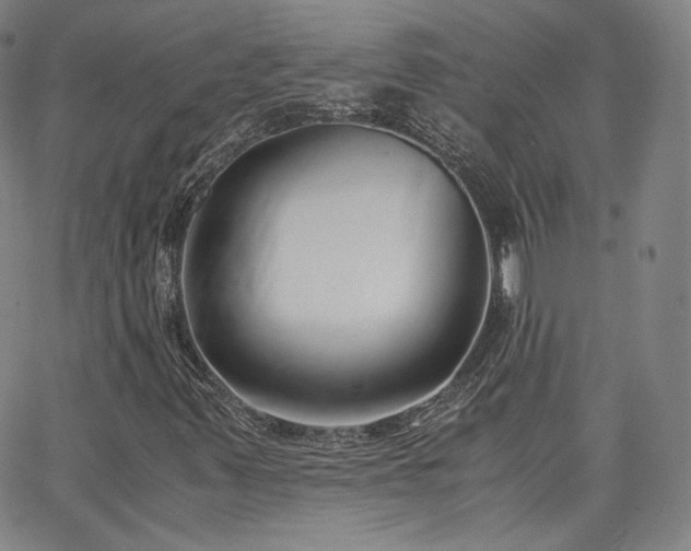 X0000063521347200601201422