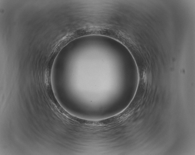 X0000063521348200601201422