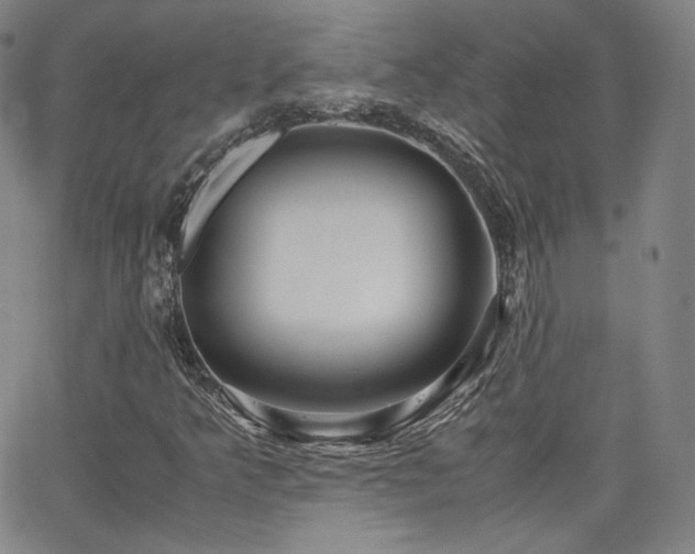 X0000063521349200601201422