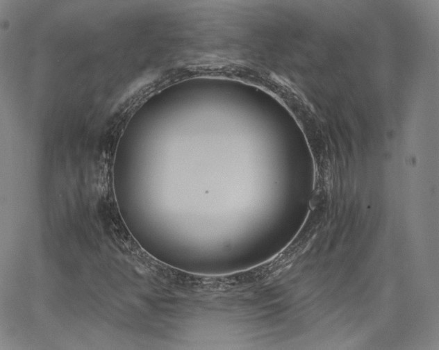 X0000063521350200601201422