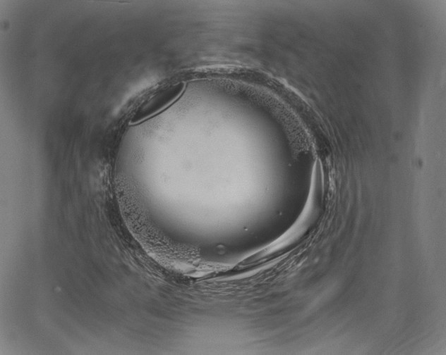 X0000063521351200601201422