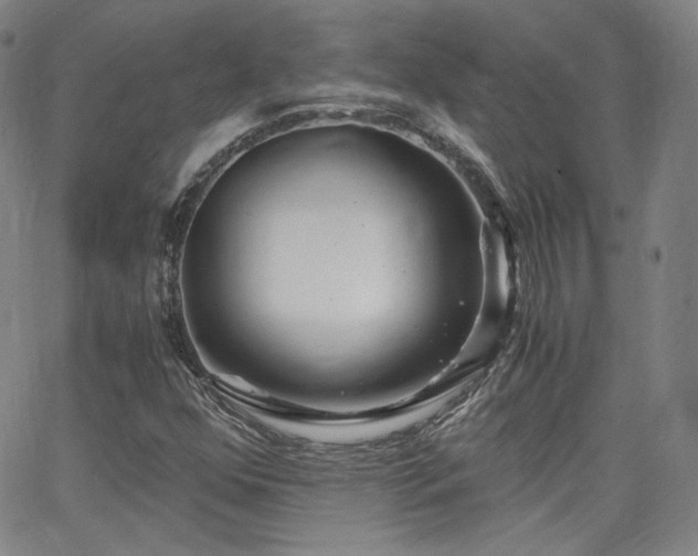 X0000063521352200601201422