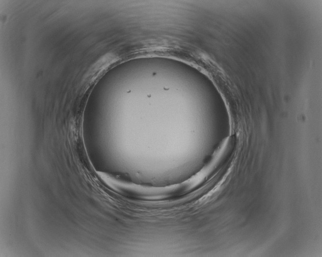 X0000063521353200601201422