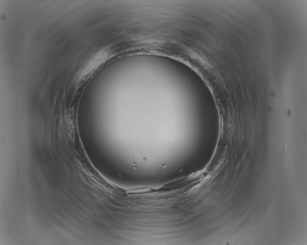 X0000063521354200601201422