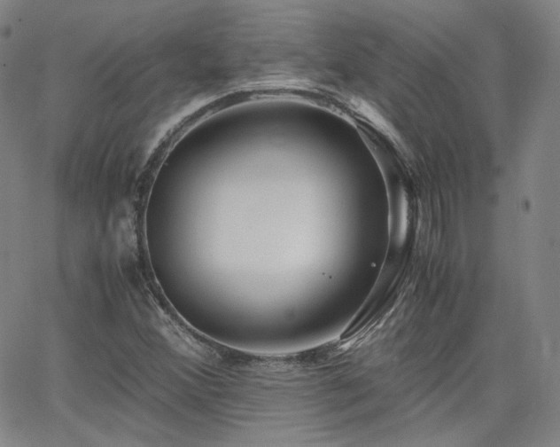 X0000063521356200601201422