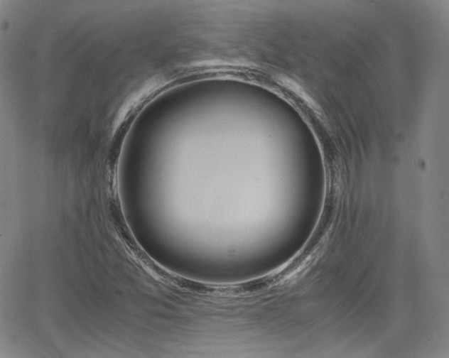 X0000063521357200601201422