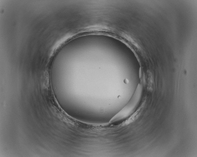 X0000063521358200601201422