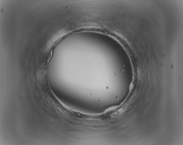 X0000063521359200601201422