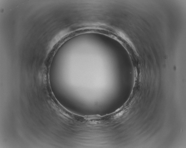 X0000063521360200601201422