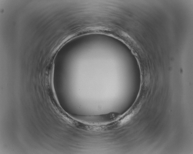 X0000063521361200601201422