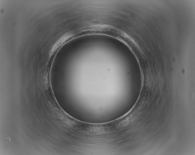 X0000063521362200601201422