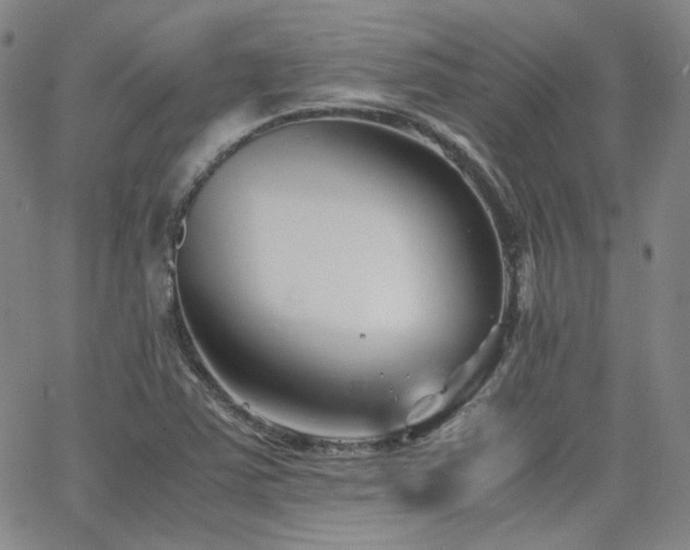 X0000063521363200601201422