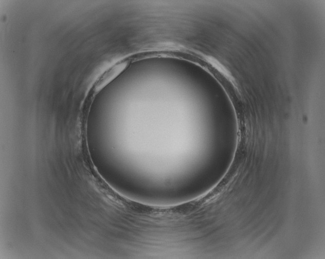 X0000063521364200601201422