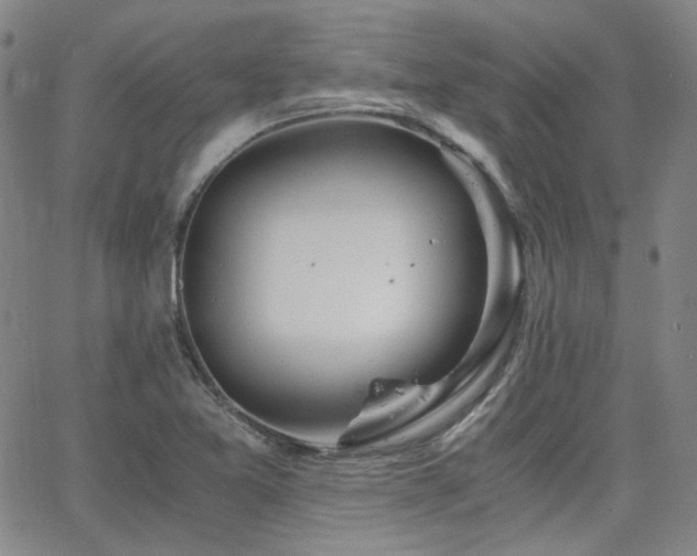 X0000063521365200601201422