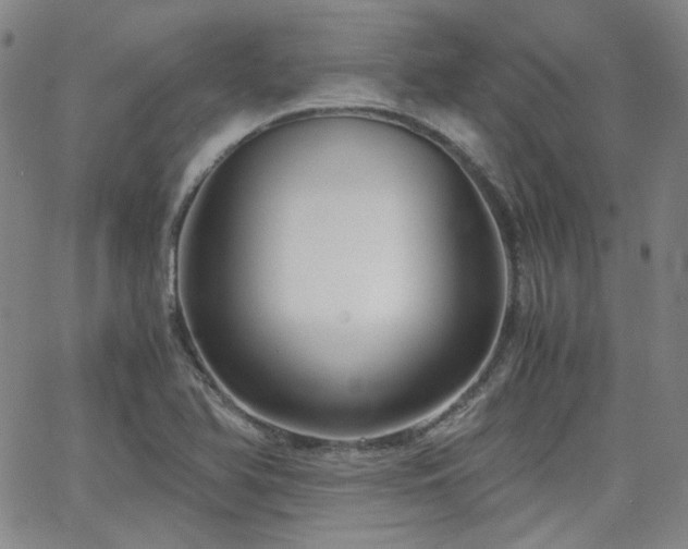 X0000063521366200601201422