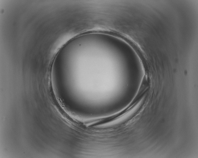 X0000063521367200601201422