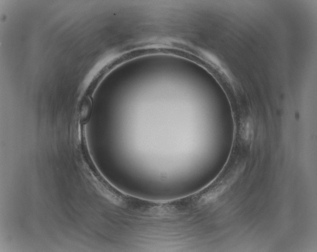 X0000063521368200601201422