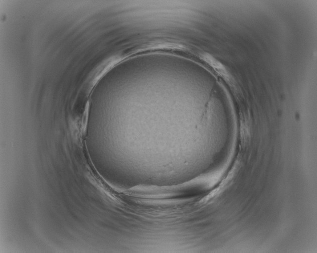 X0000063521369200601201422