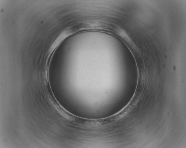 X0000063521370200601201422