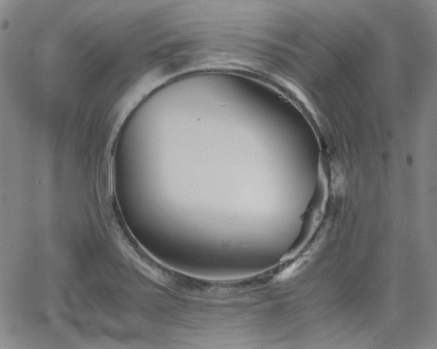 X0000063521371200601201422