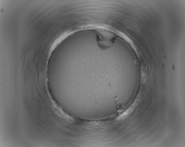 X0000063521373200601201422