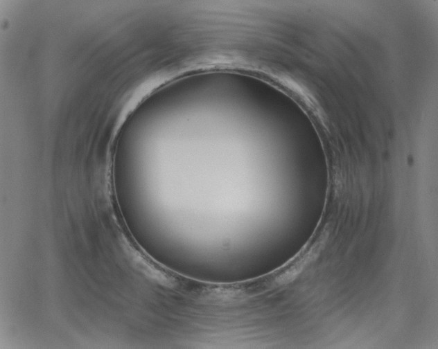 X0000063521374200601201422