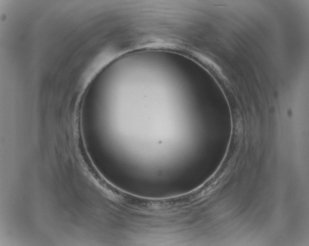 X0000063521375200601201422