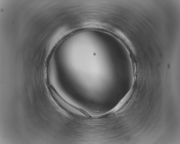 X0000063521376200601201422