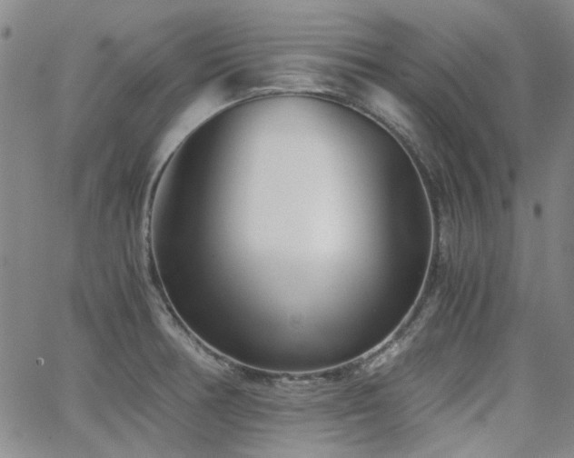 X0000063521378200601201422