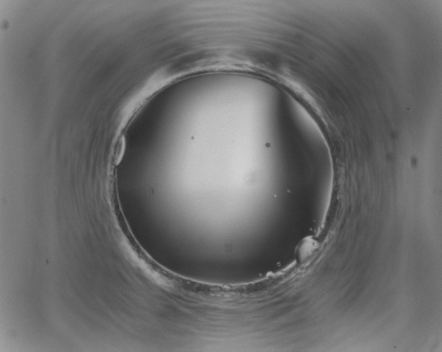 X0000063521379200601201422