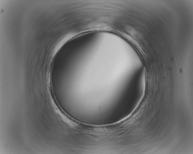 X0000063521383200601201422