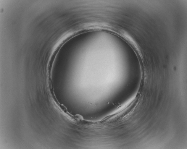 X0000063521384200601201422