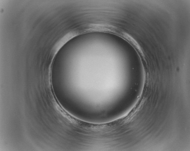 X0000063521386200601201422