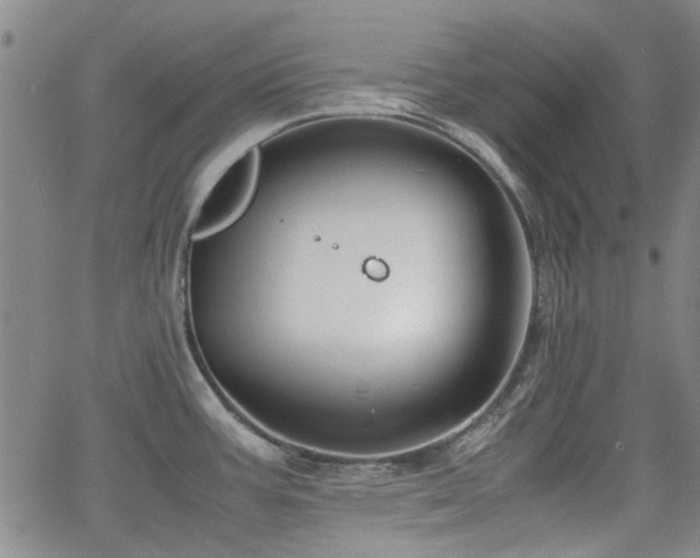 X0000063521387200601201422