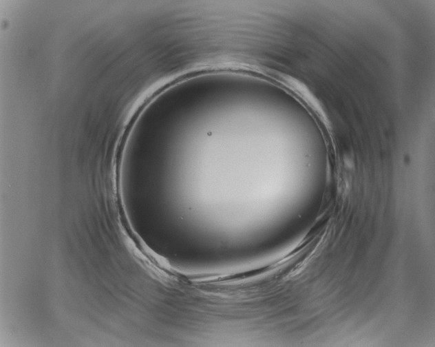 X0000063521388200601201422