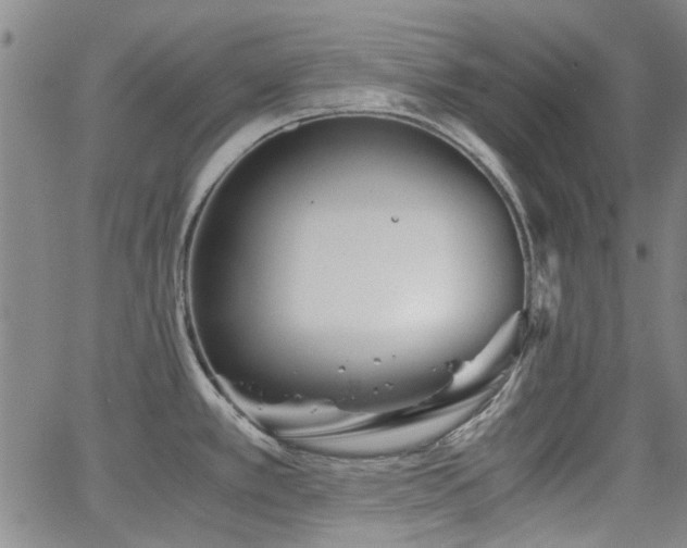 X0000063521389200601201422