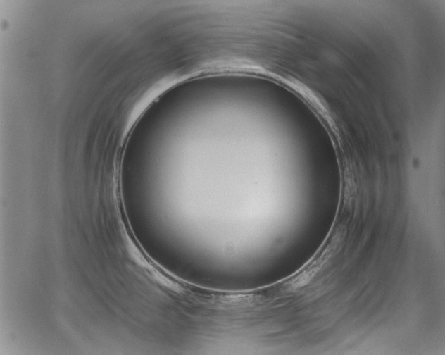 X0000063521390200601201422