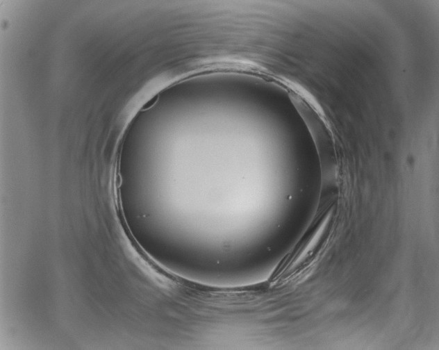 X0000063521391200601201422