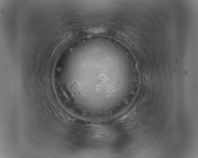 X0000063521393200601201421