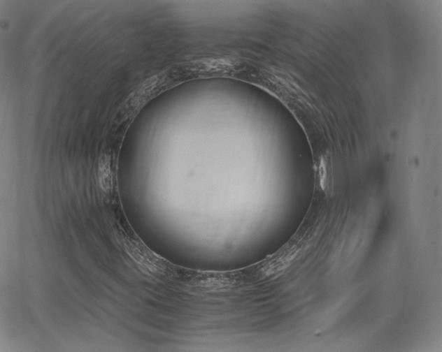 X0000063521395200601201421