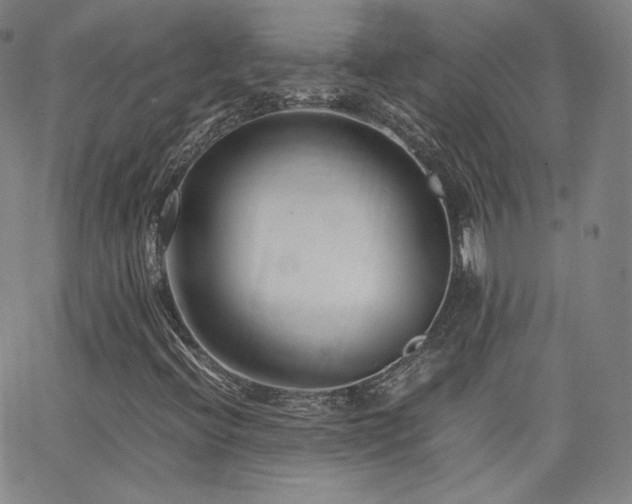 X0000063521396200601201421