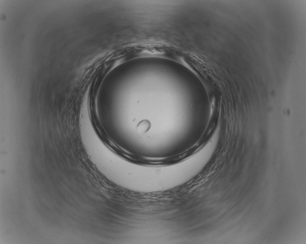 X0000063521398200601201421