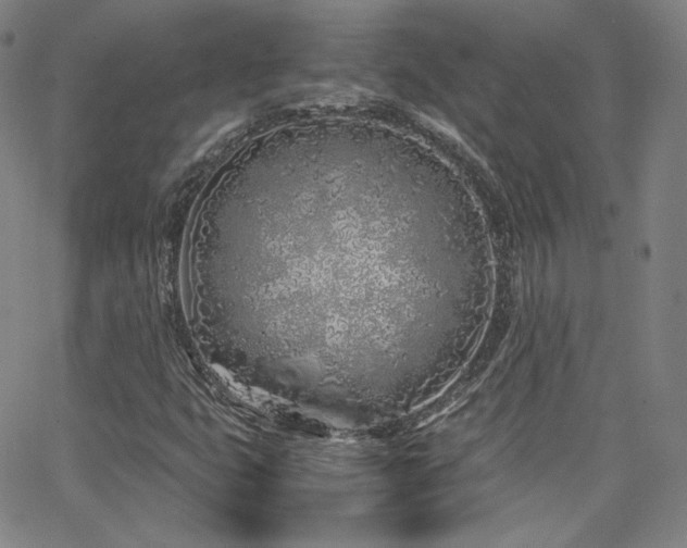 X0000063521399200601201421