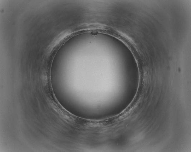 X0000063521407200601201421