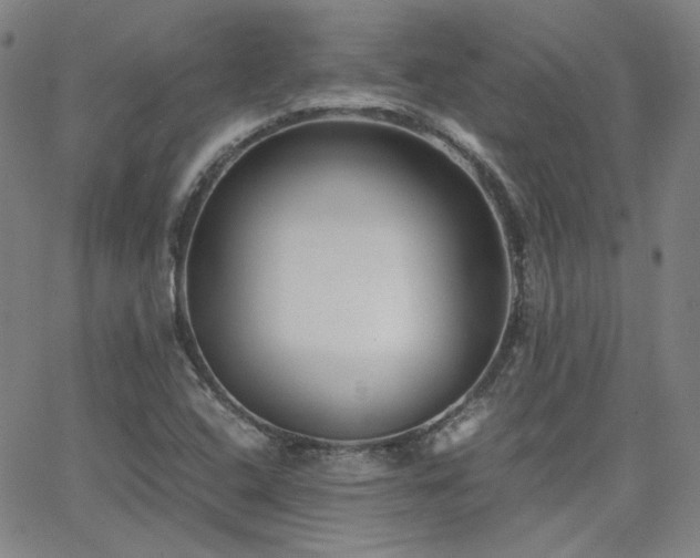 X0000063521408200601201421