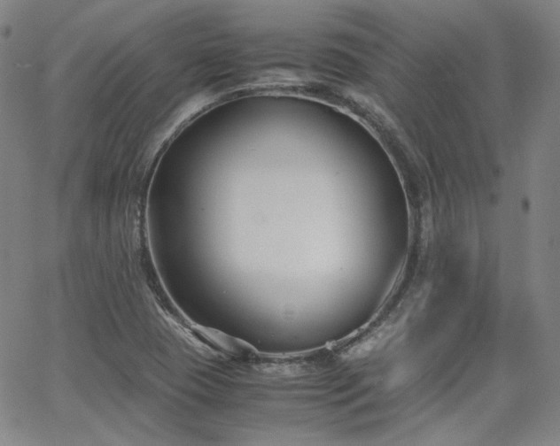 X0000063521409200601201421