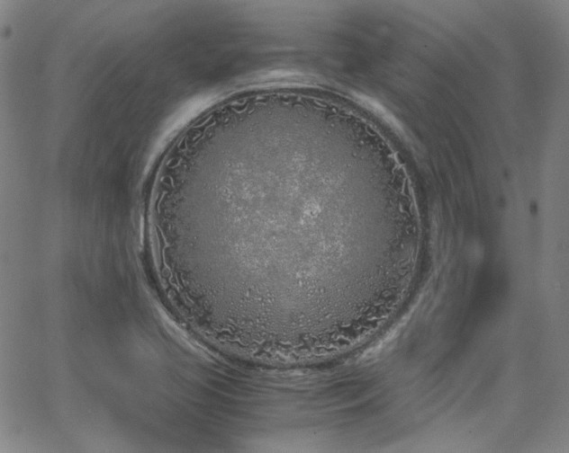 X0000063521413200601201421