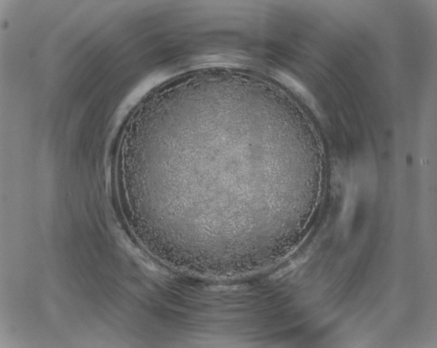 X0000063521419200601201421